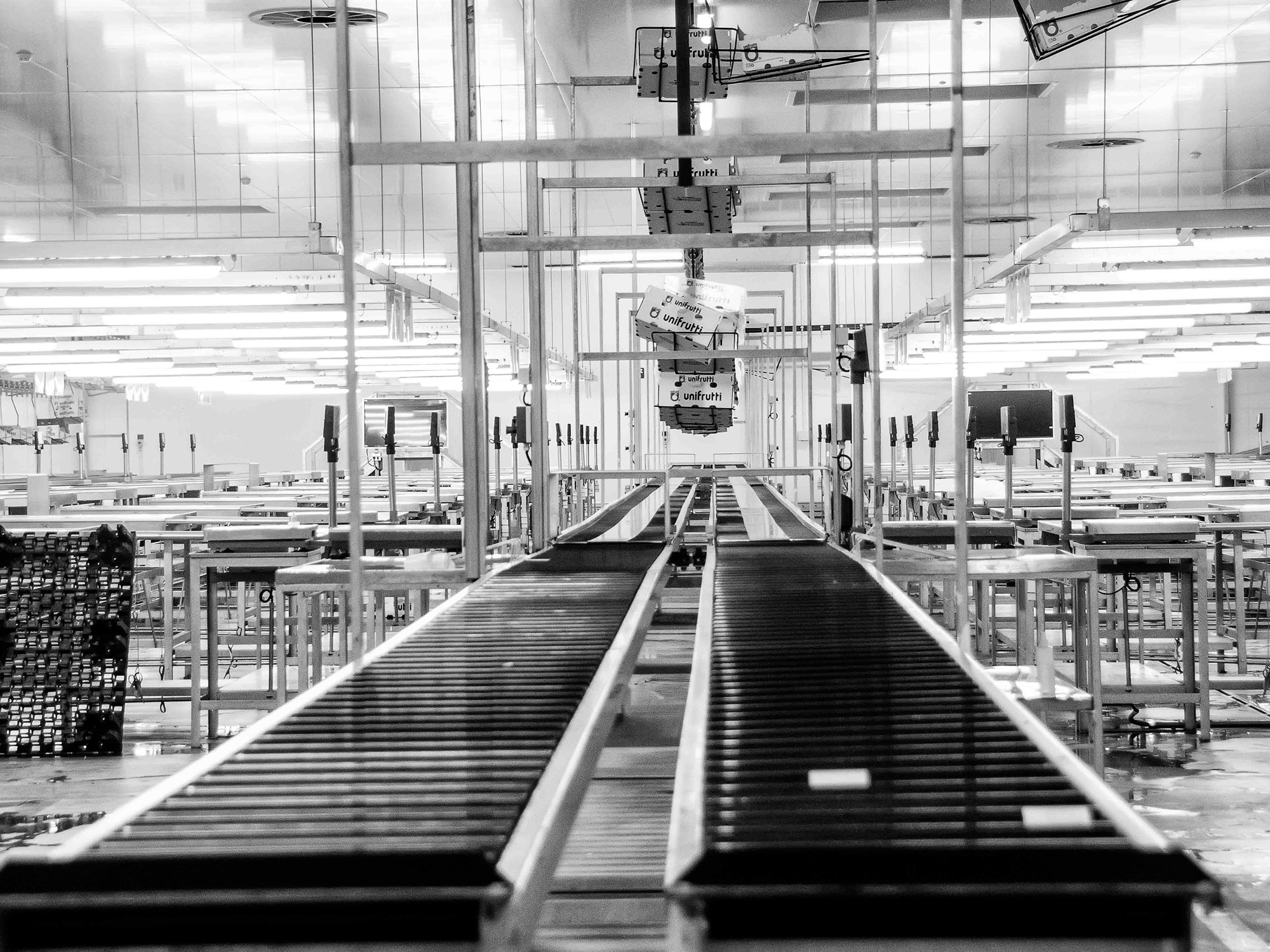 Línea de producción con bandas transportadoras en blanco y negro